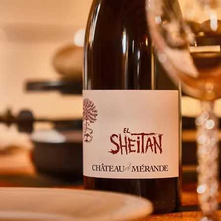 Chateau De Merande Ferienhaus Arbin