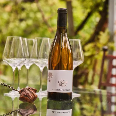 Ferienhaus Chateau De Merande Arbin